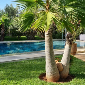 Riad les deux citronniers